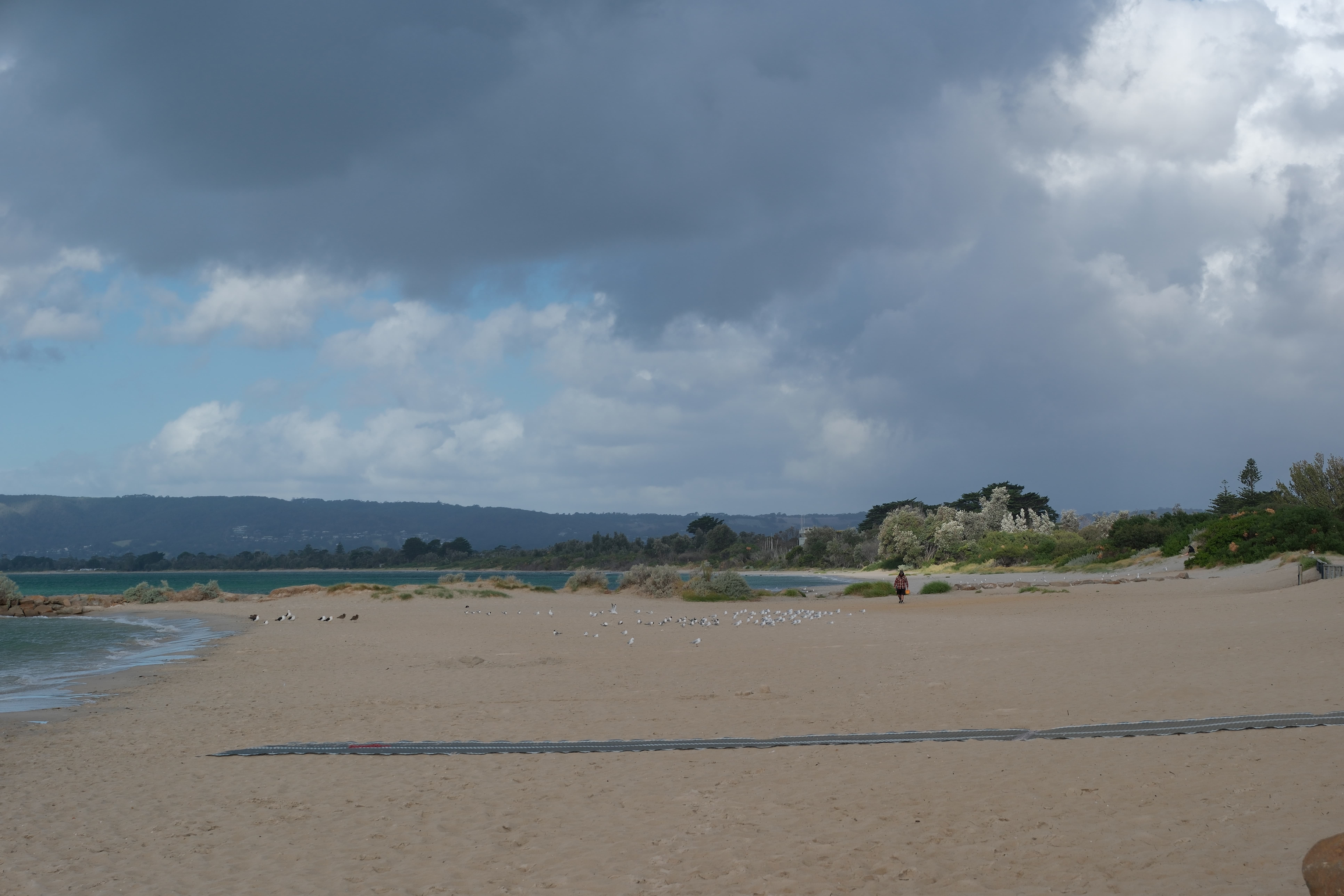 DSCF0064.jpg