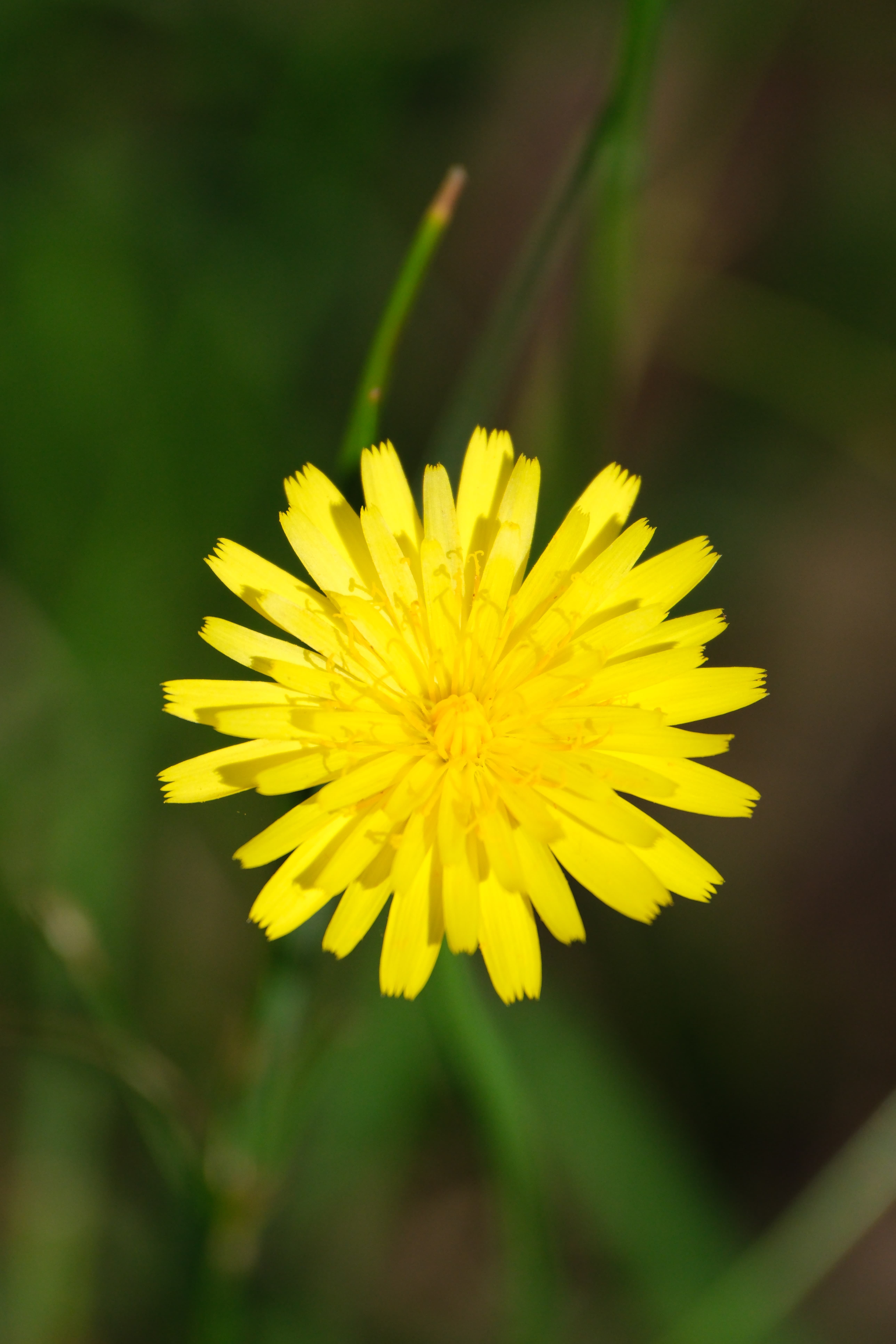 DSCF0122.jpg